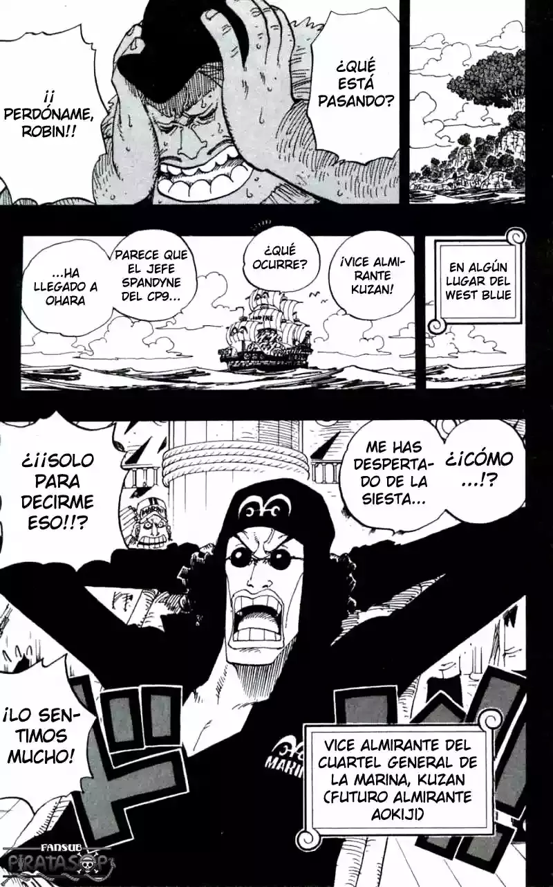 One Piece Capitulo 393 página 19