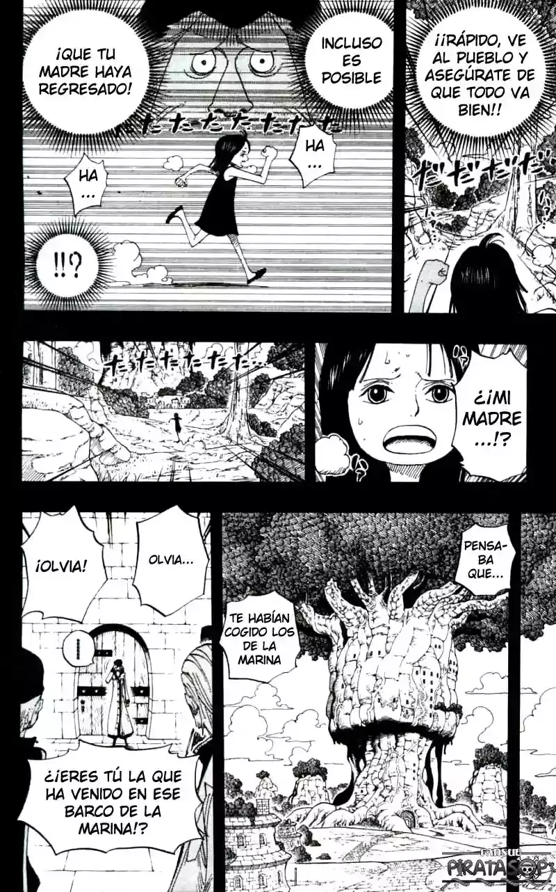 One Piece Capitulo 393 página 8