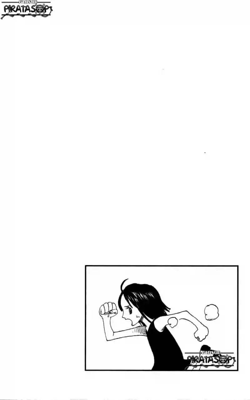 One Piece Capitulo 394 página 2