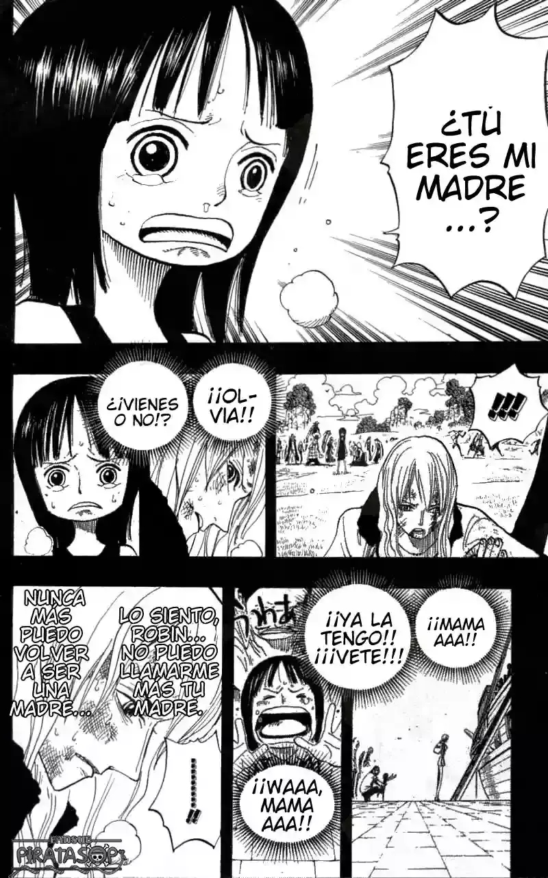 One Piece Capitulo 395 página 14