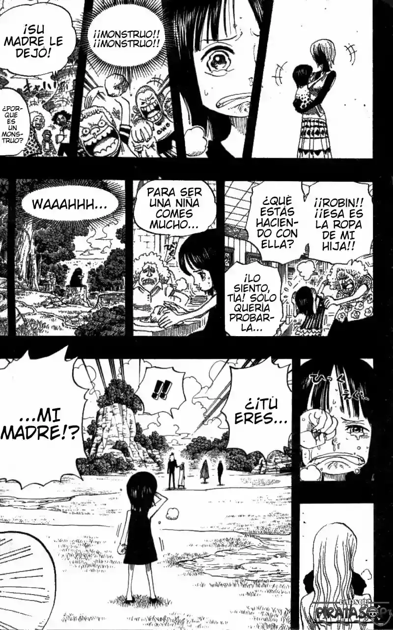 One Piece Capitulo 395 página 15