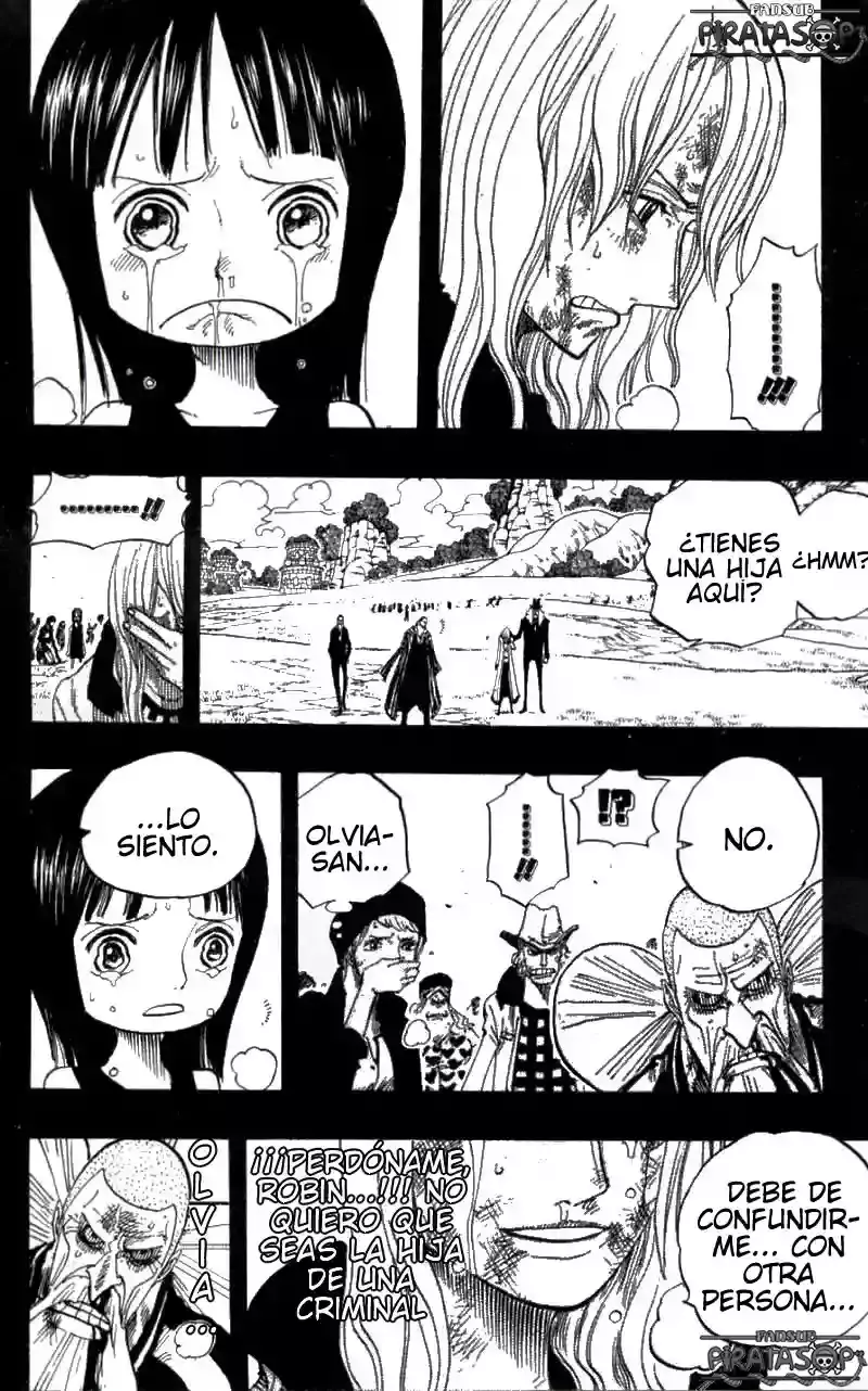 One Piece Capitulo 395 página 16