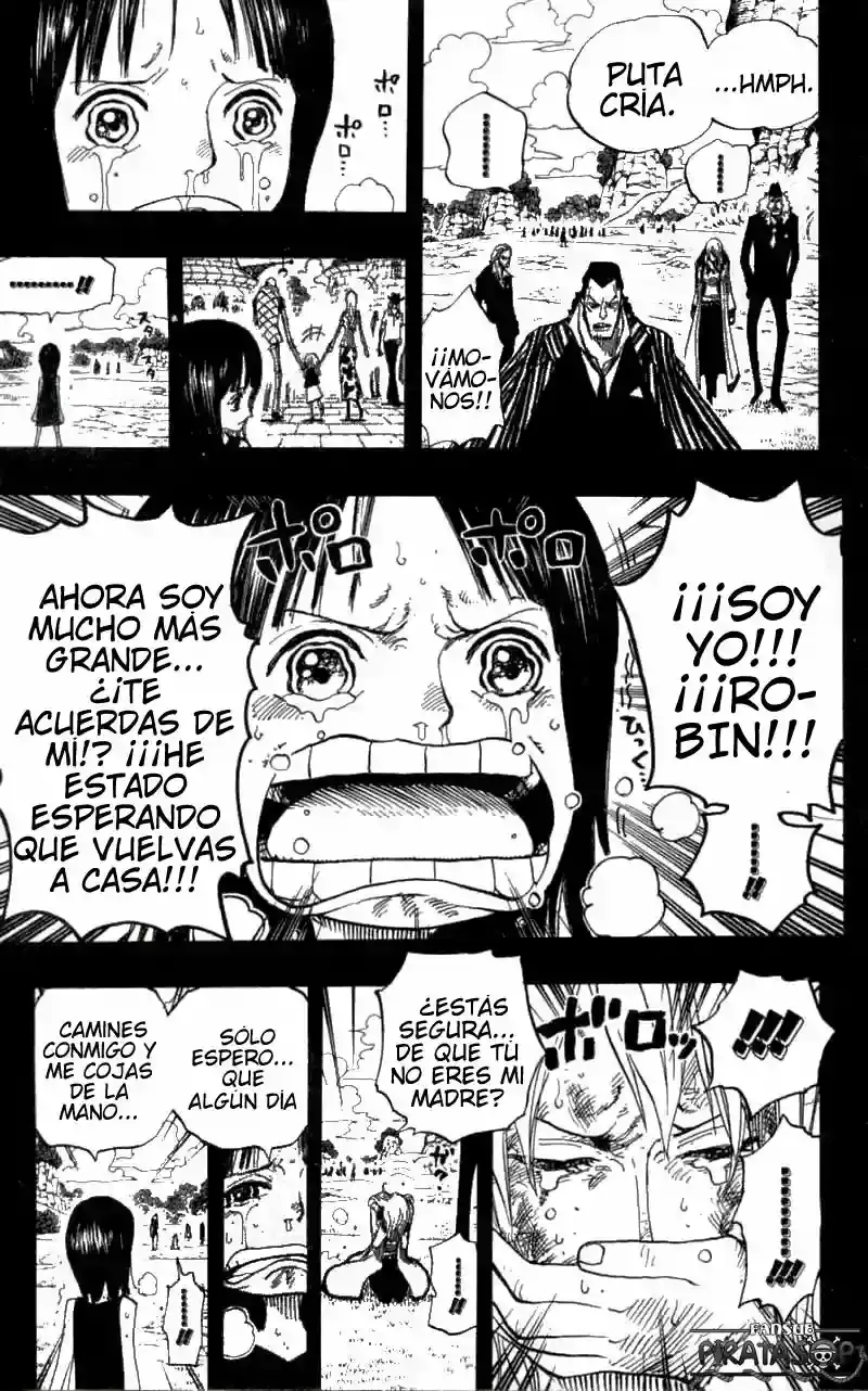 One Piece Capitulo 395 página 17