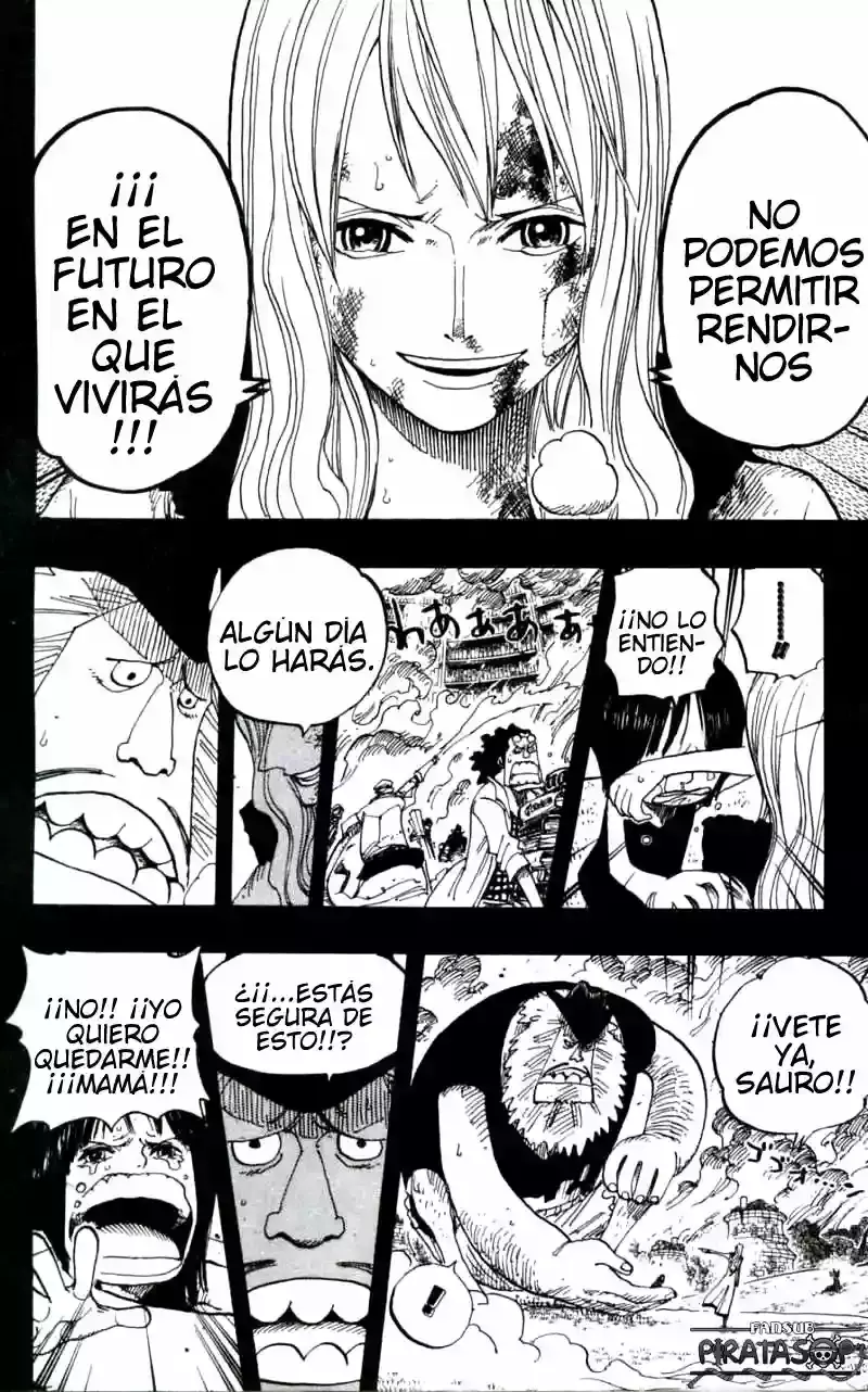One Piece Capitulo 396 página 10