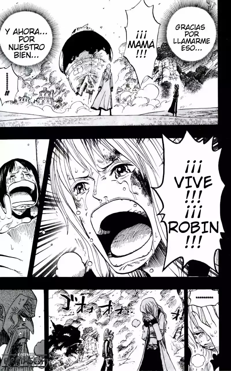 One Piece Capitulo 396 página 11