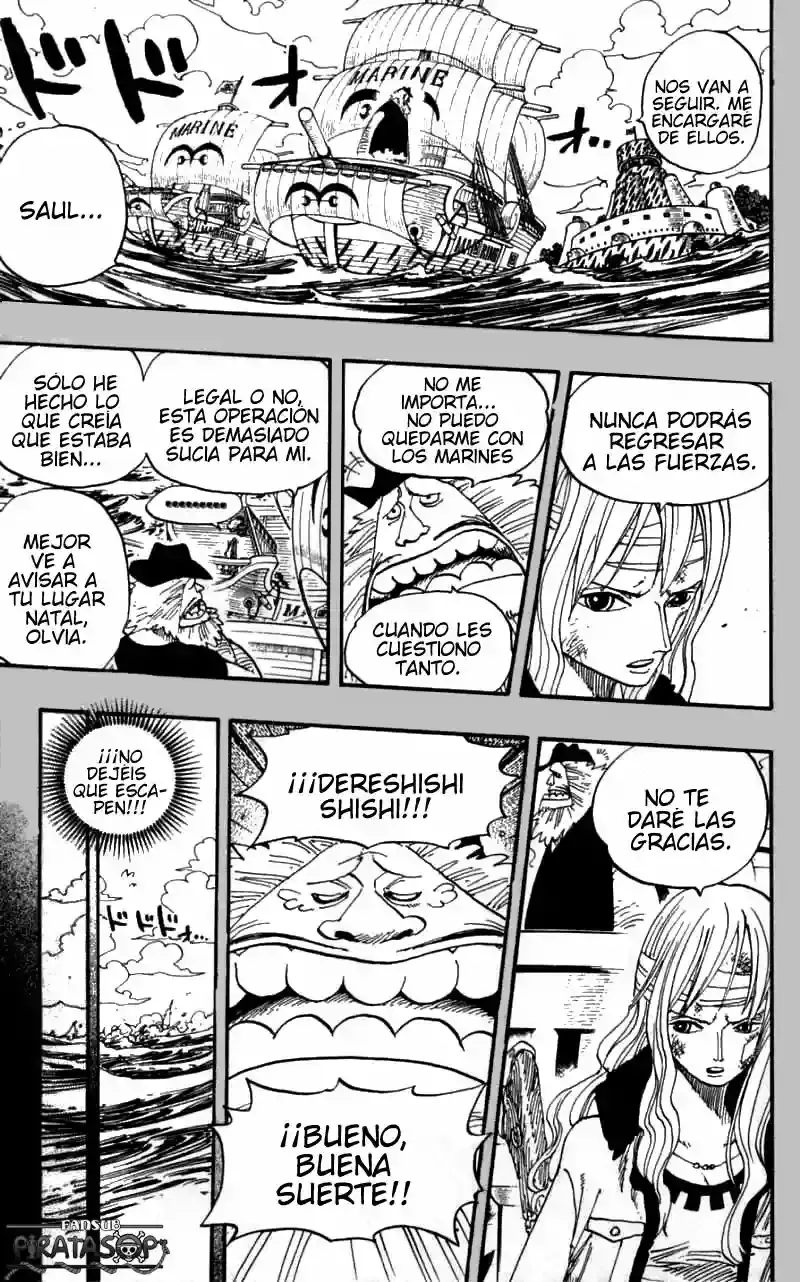 One Piece Capitulo 396 página 15