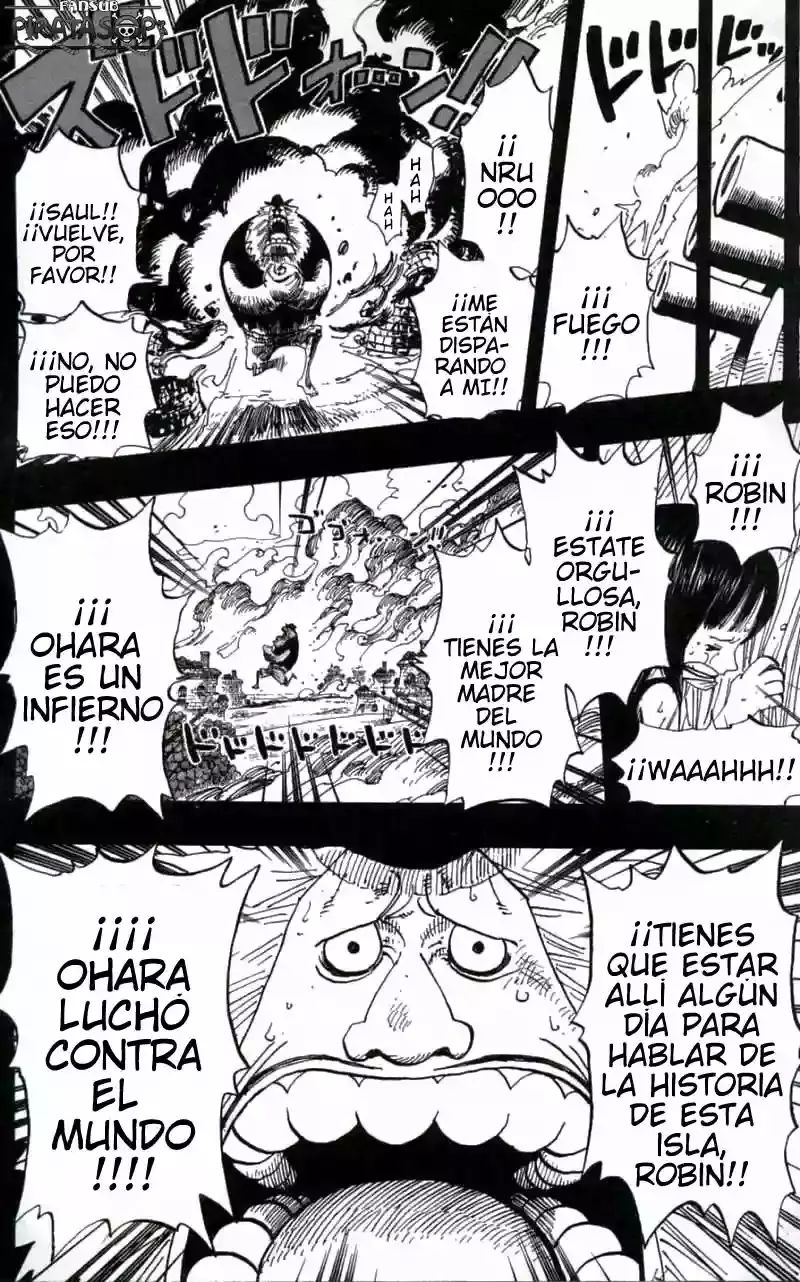 One Piece Capitulo 396 página 16