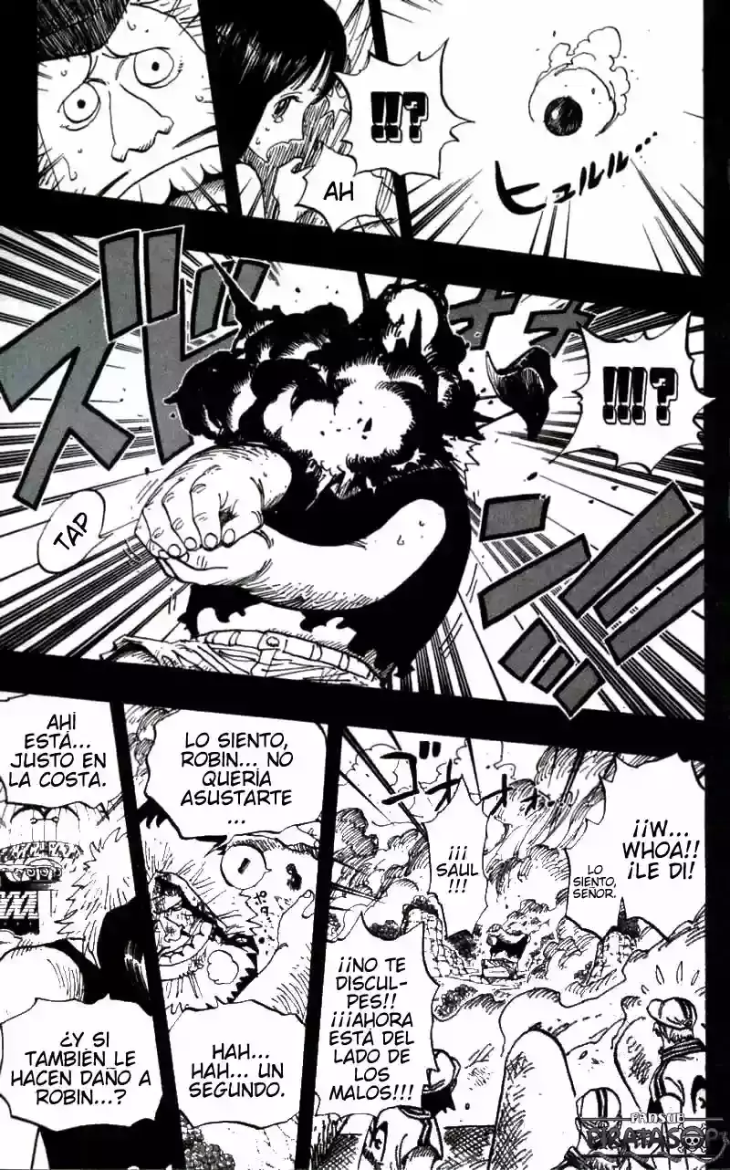 One Piece Capitulo 396 página 17