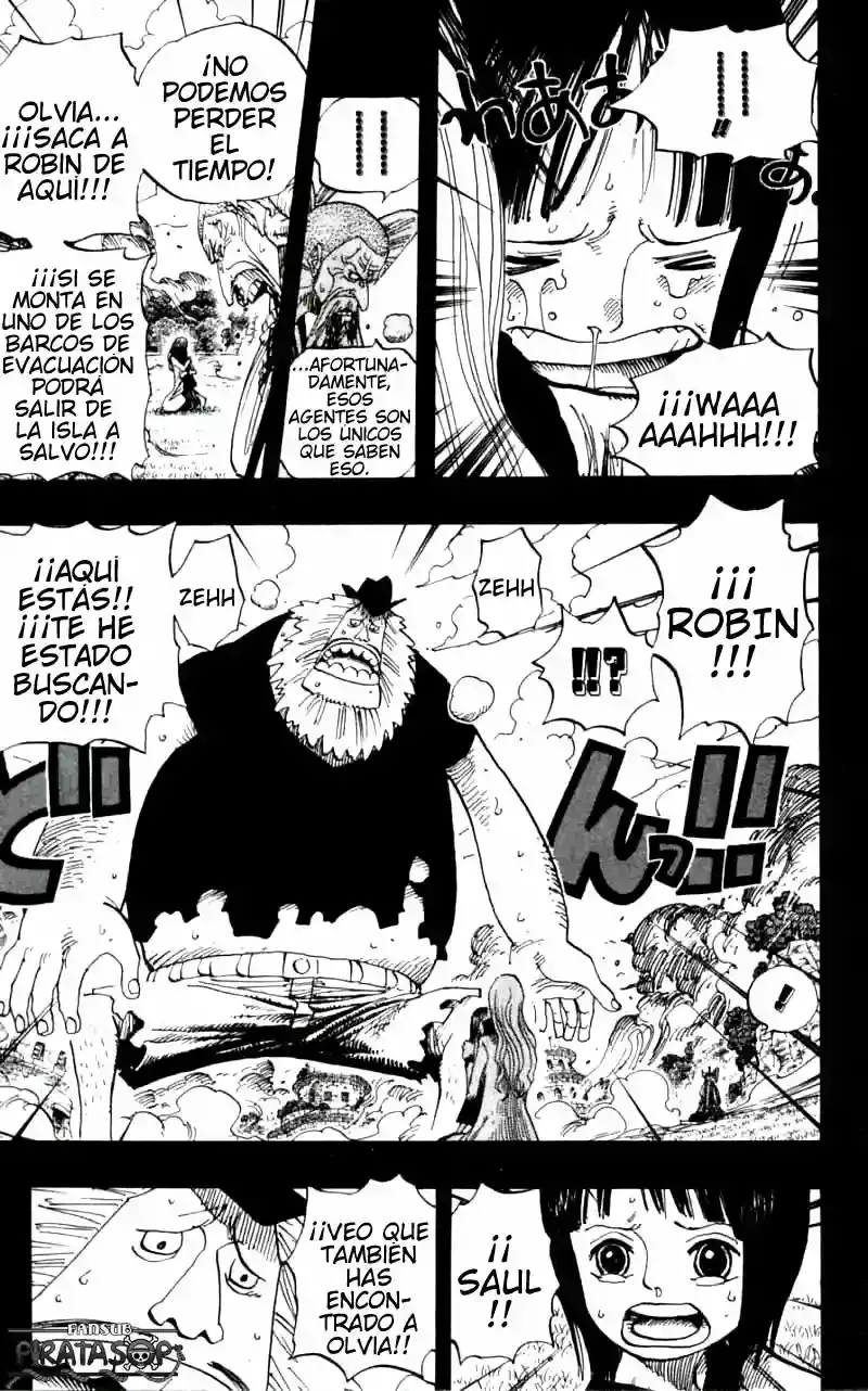 One Piece Capitulo 396 página 7