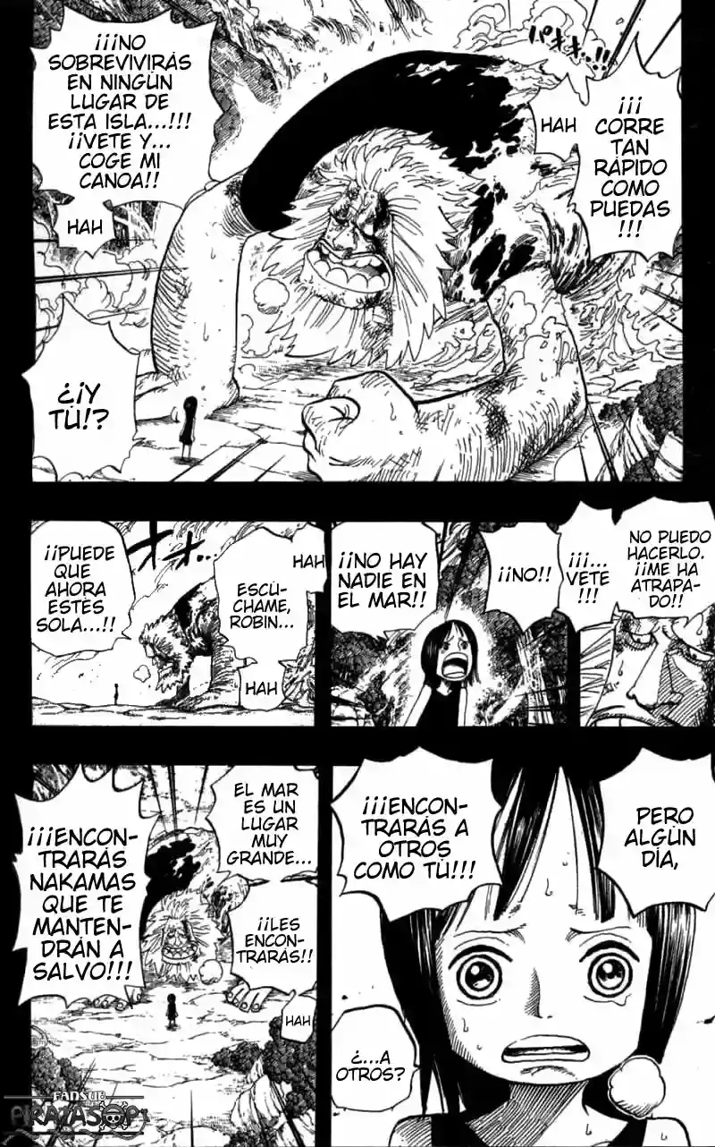 One Piece Capitulo 397 página 14