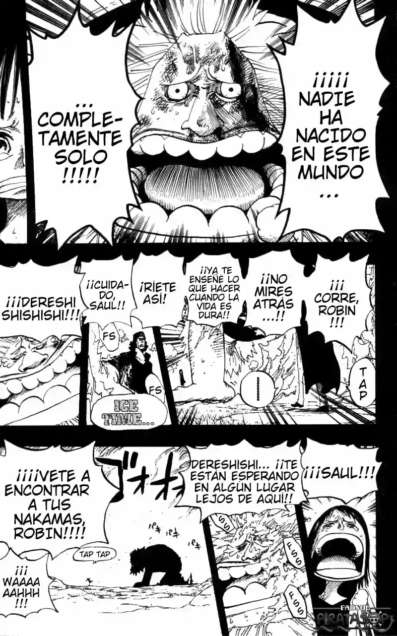 One Piece Capitulo 397 página 15