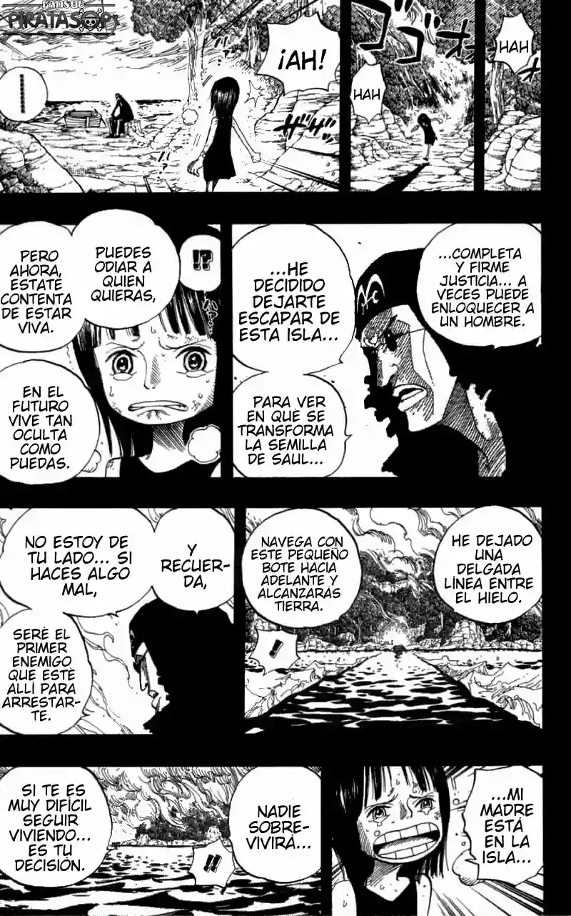 One Piece Capitulo 397 página 17