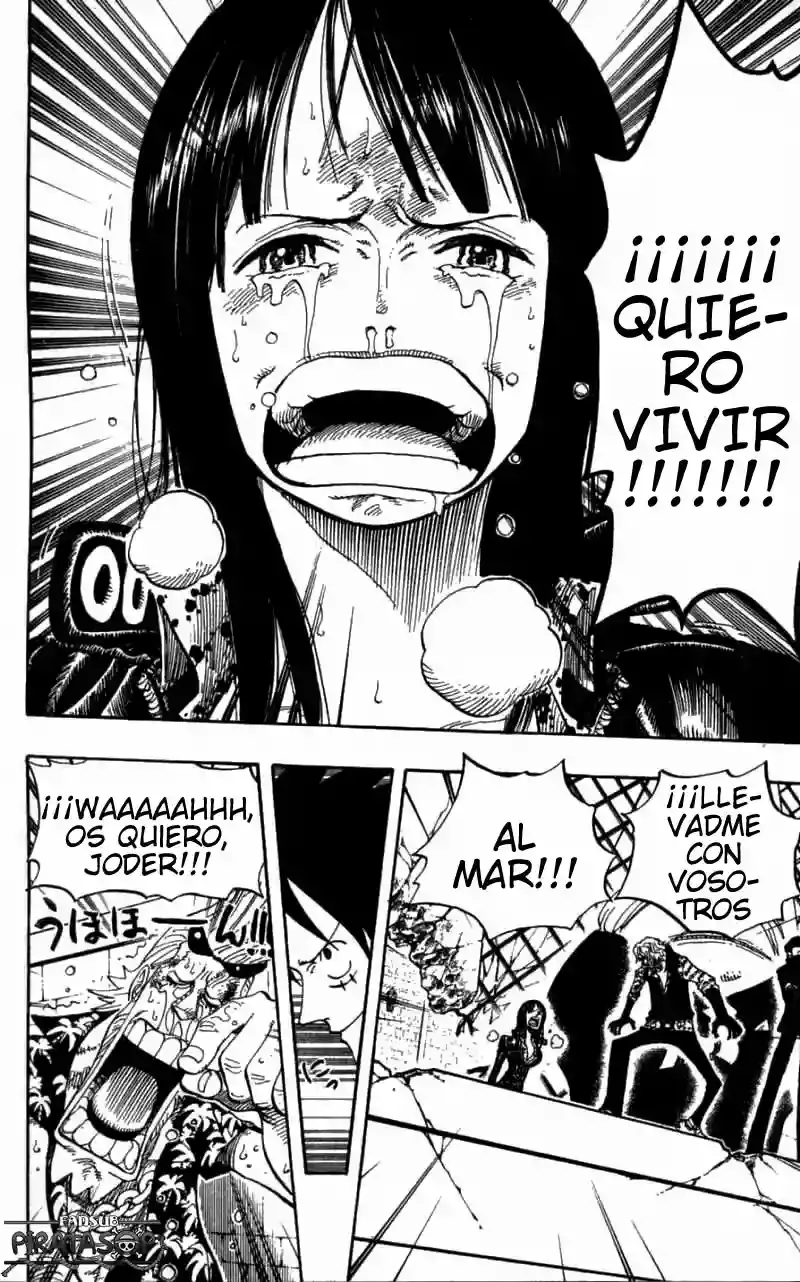One Piece Capitulo 398 página 17