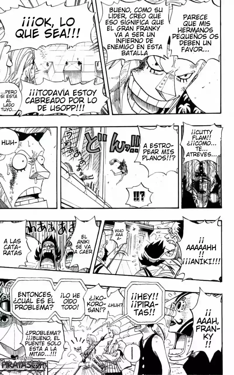 One Piece Capitulo 399 página 14