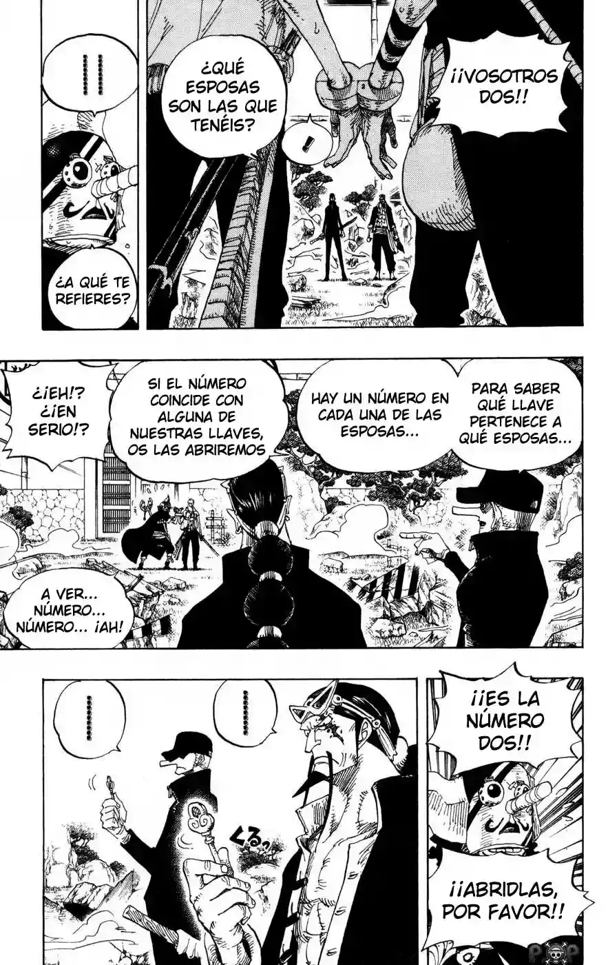 One Piece Capitulo 402 página 10
