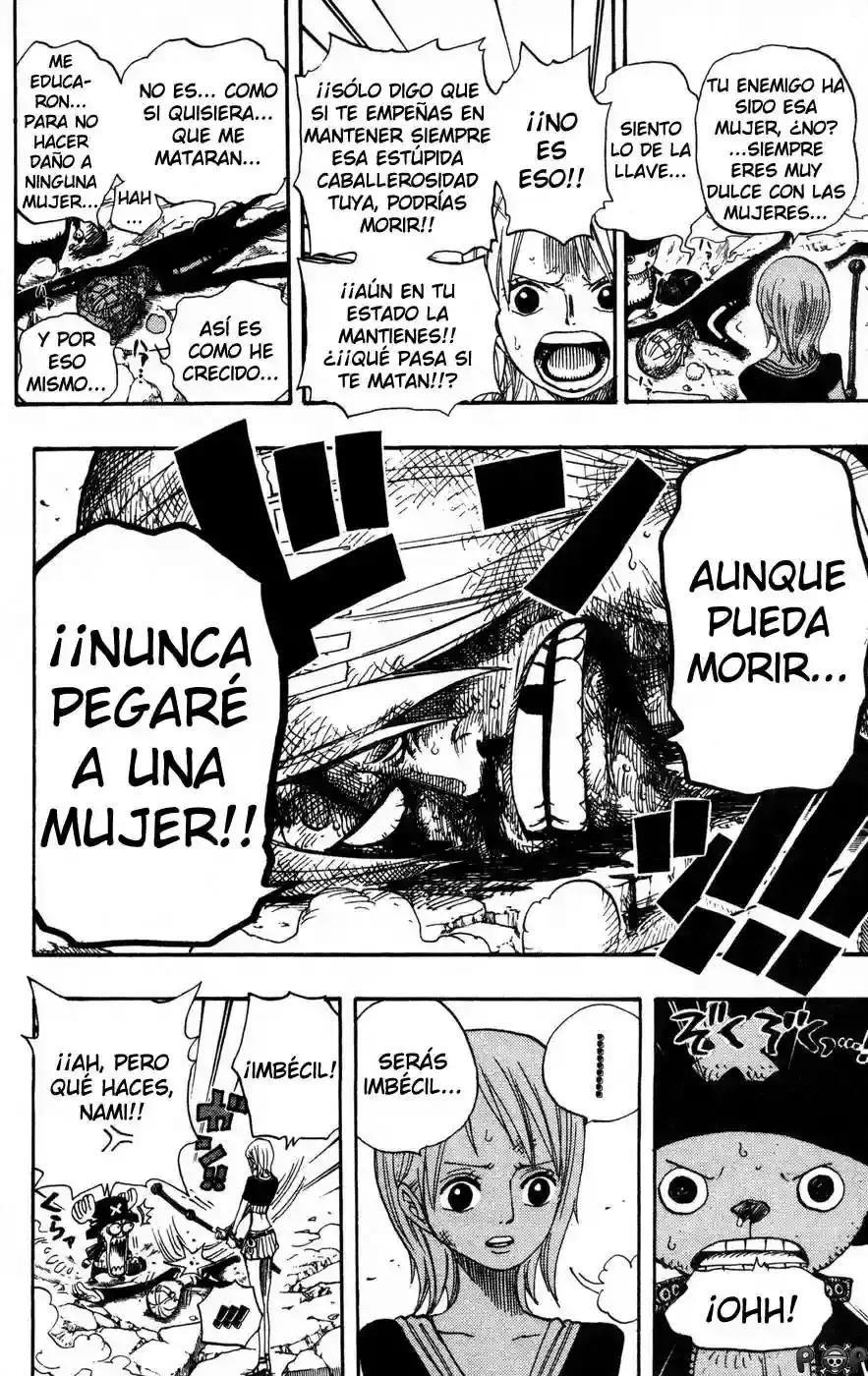 One Piece Capitulo 403 página 14