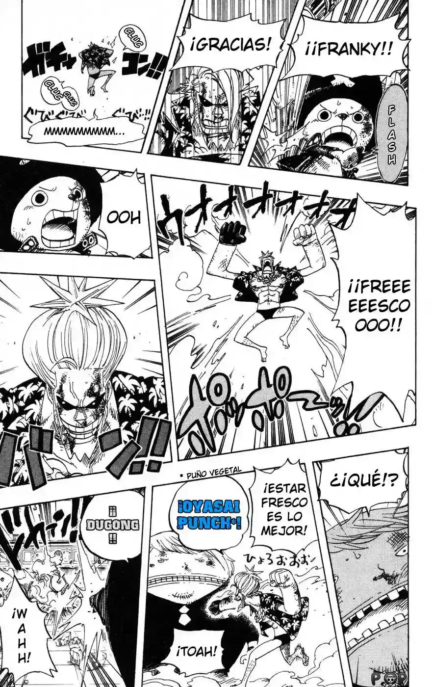 One Piece Capitulo 404 página 15