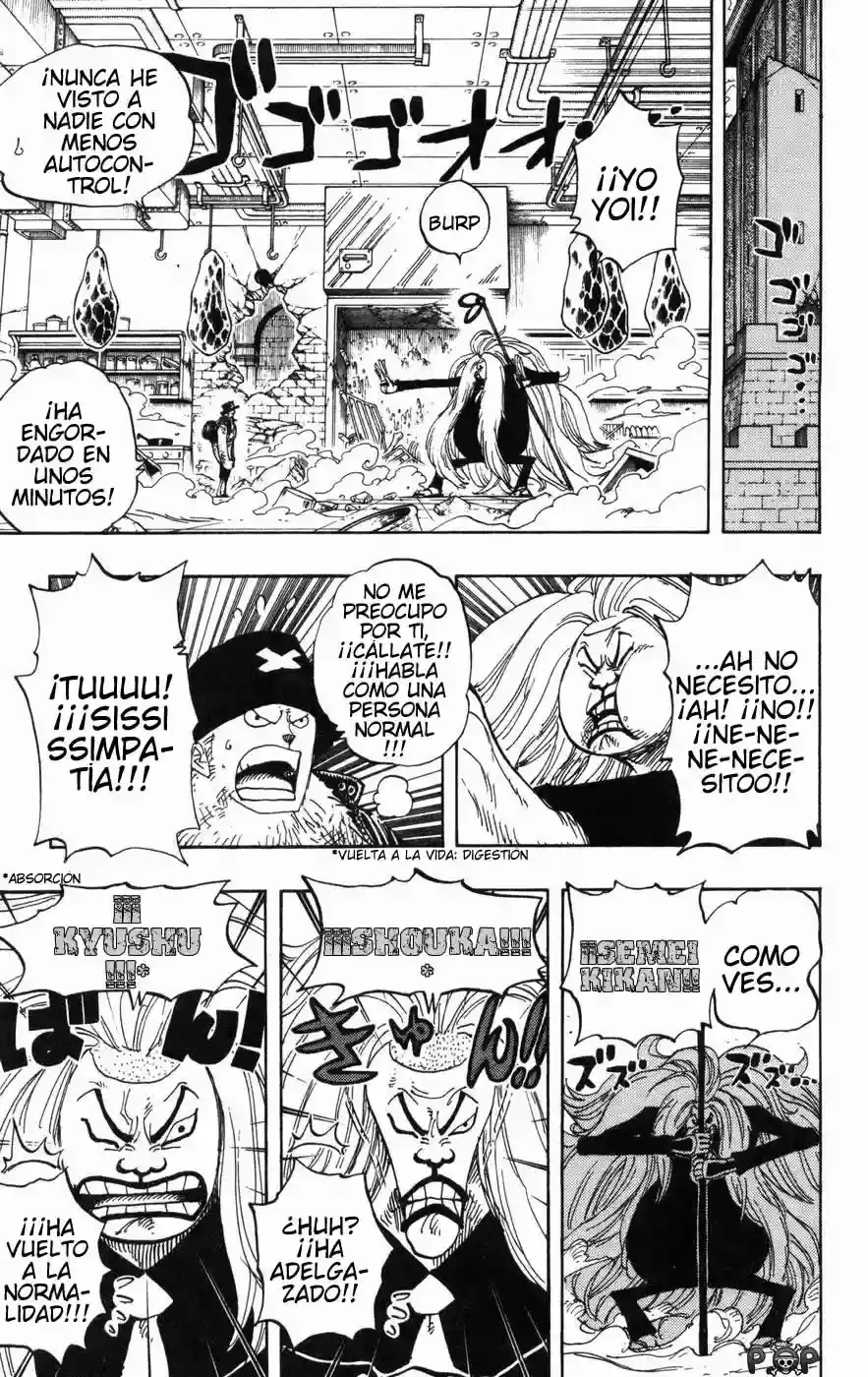 One Piece Capitulo 406 página 10