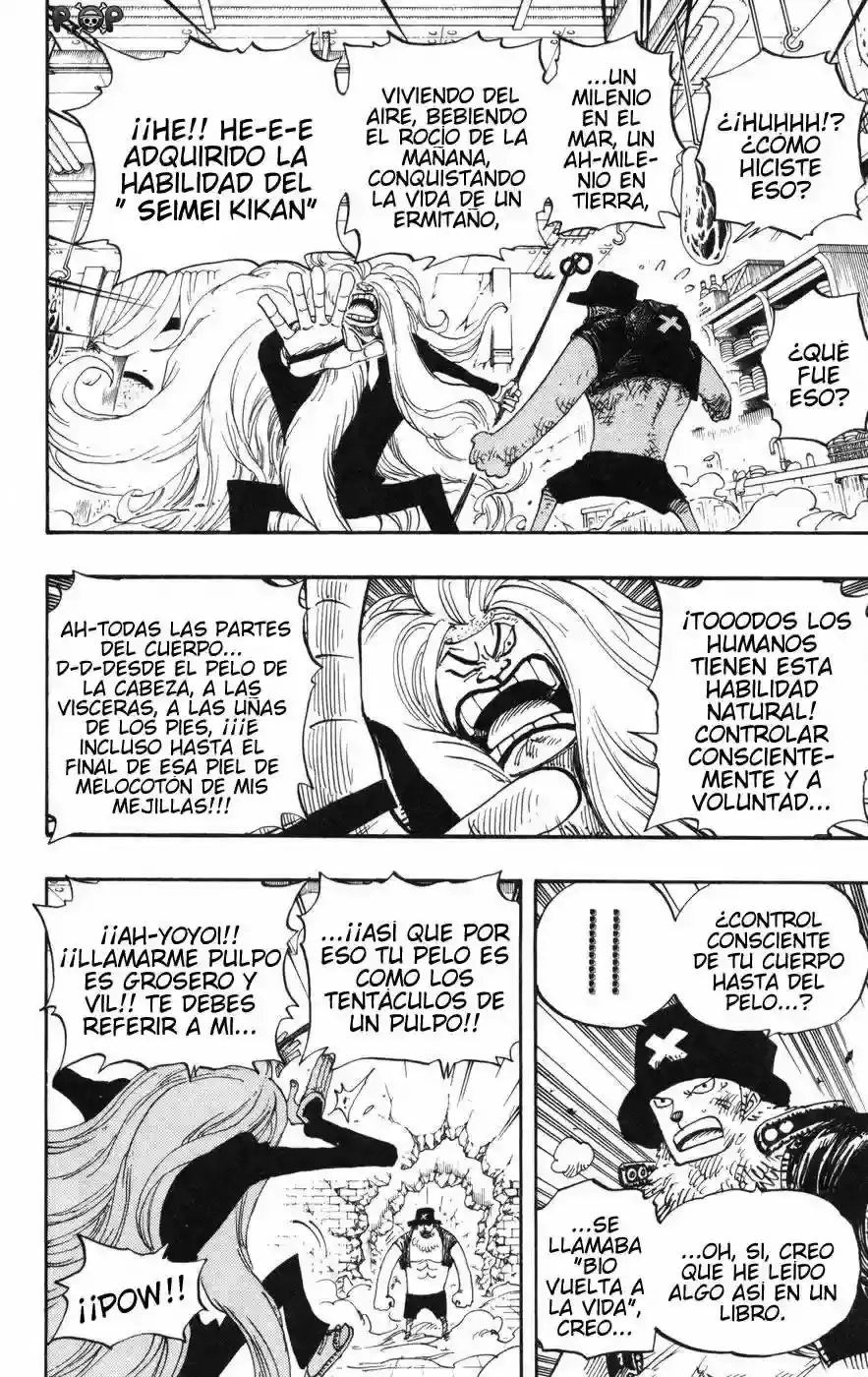 One Piece Capitulo 406 página 11