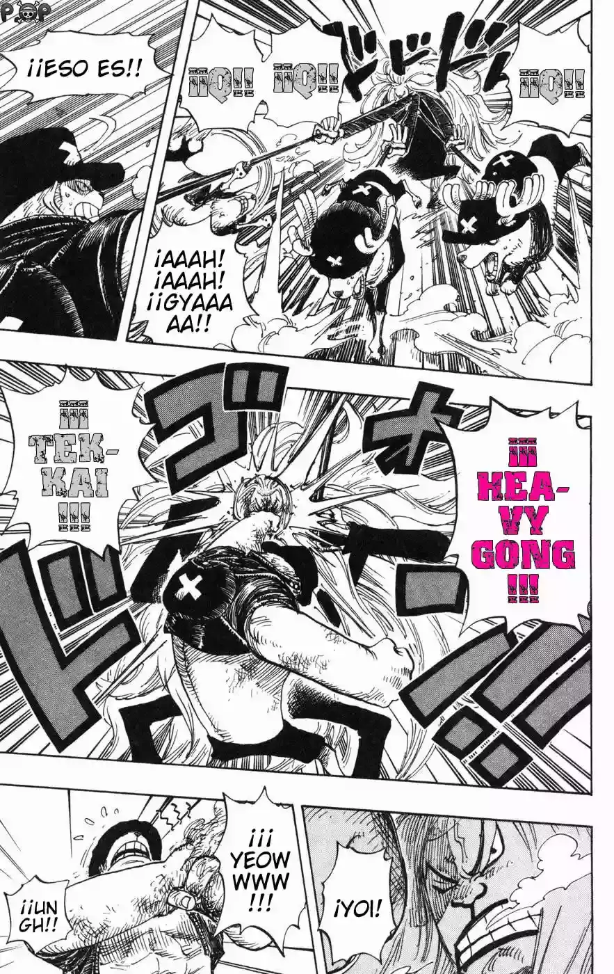 One Piece Capitulo 406 página 14