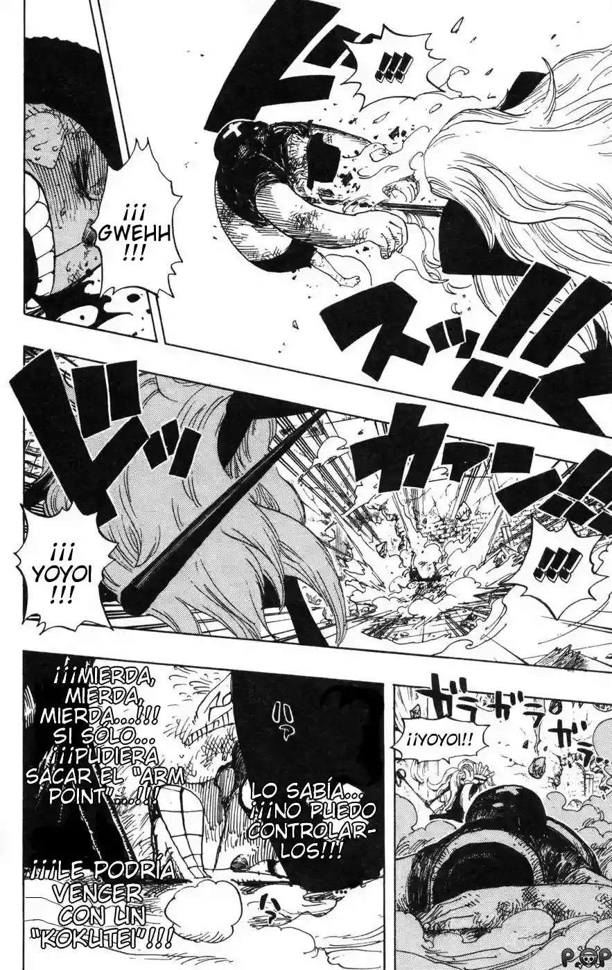 One Piece Capitulo 406 página 17