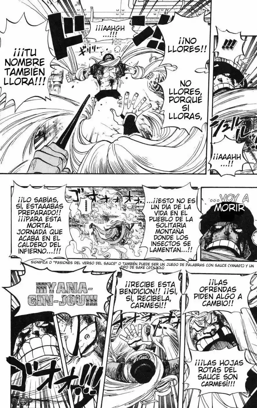 One Piece Capitulo 407 página 10