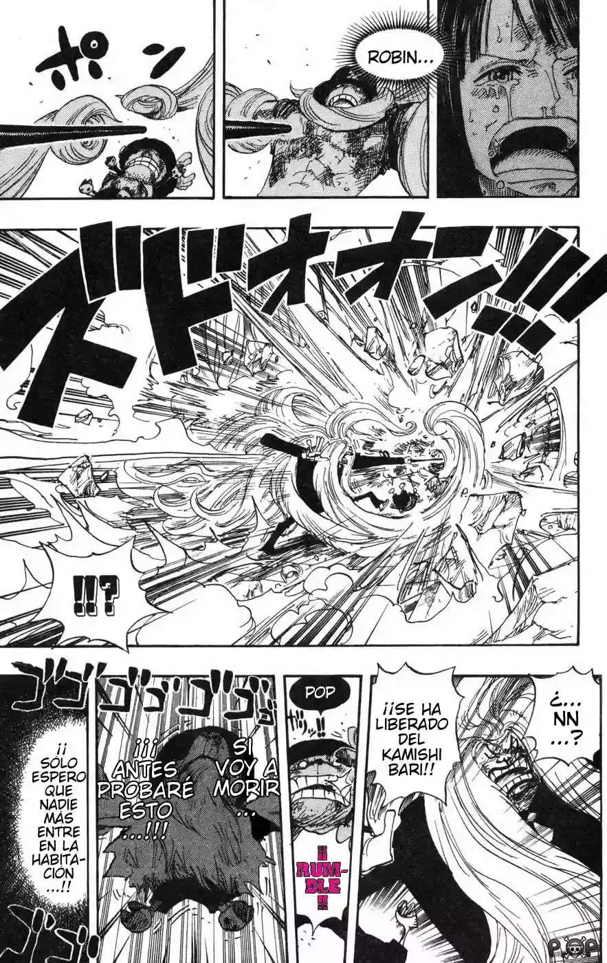 One Piece Capitulo 407 página 11