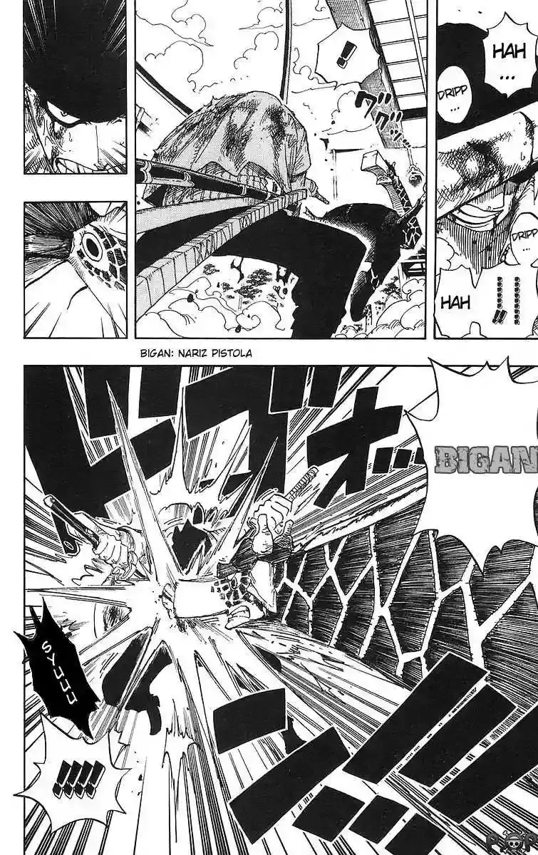 One Piece Capitulo 416 página 14