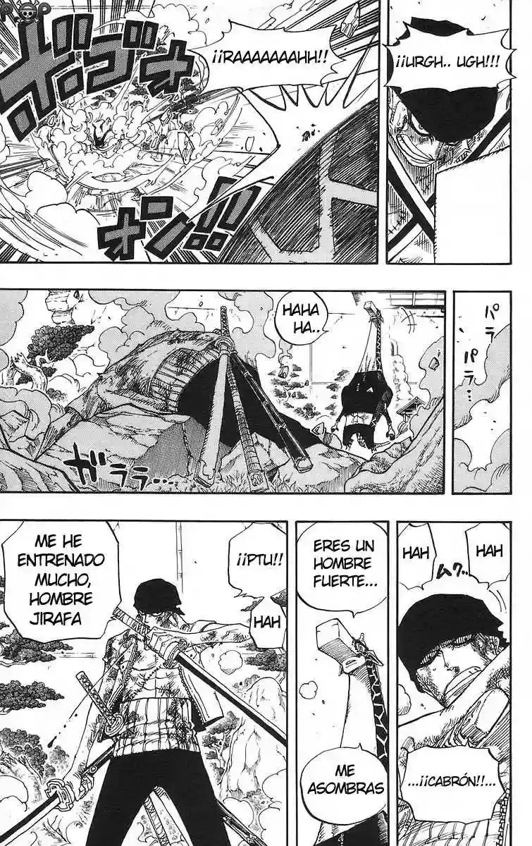 One Piece Capitulo 416 página 15