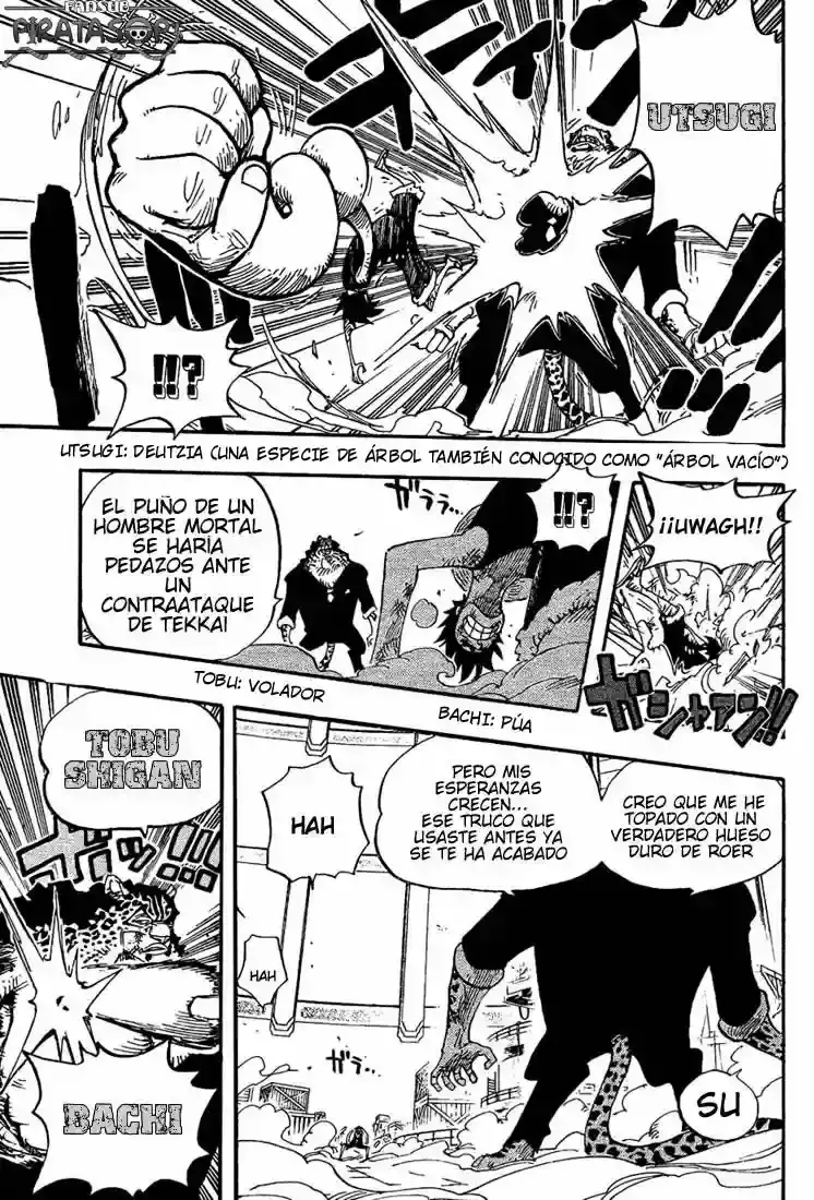 One Piece Capitulo 421 página 12