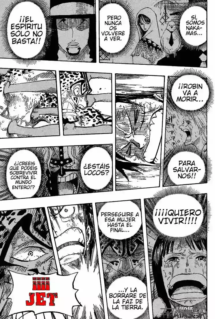 One Piece Capitulo 427 página 13