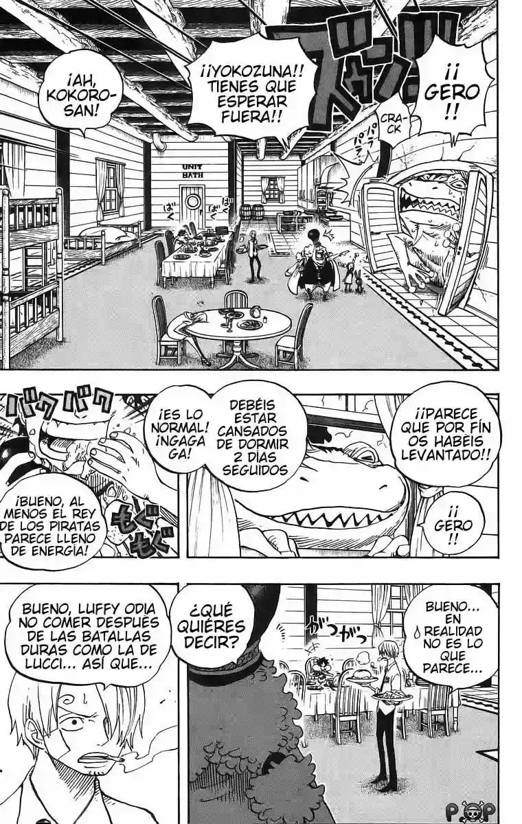 One Piece Capitulo 431 página 16