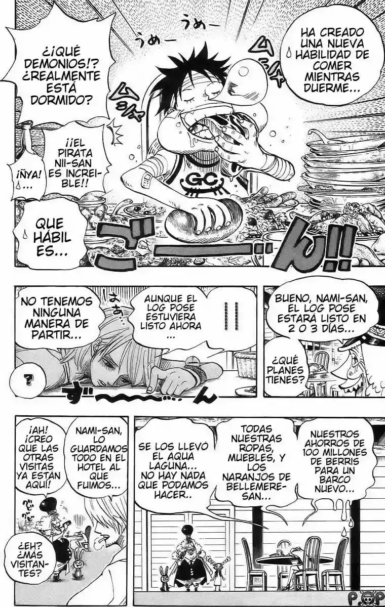 One Piece Capitulo 431 página 17