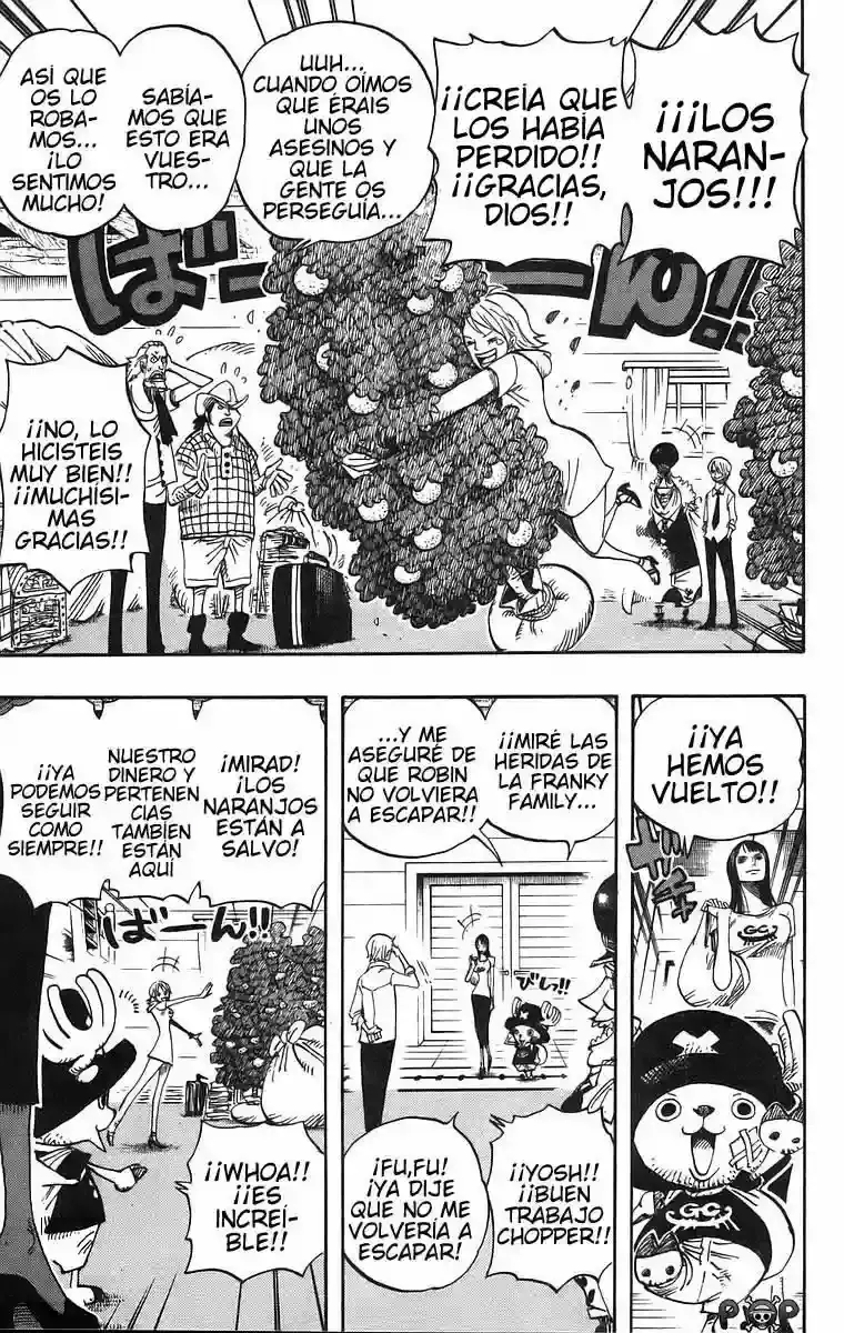 One Piece Capitulo 431 página 18