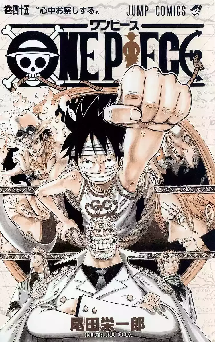 One Piece Capitulo 431 página 2