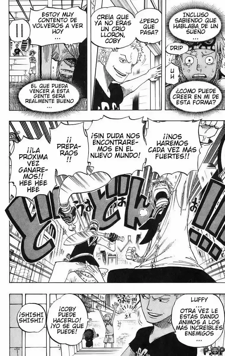 One Piece Capitulo 433 página 10