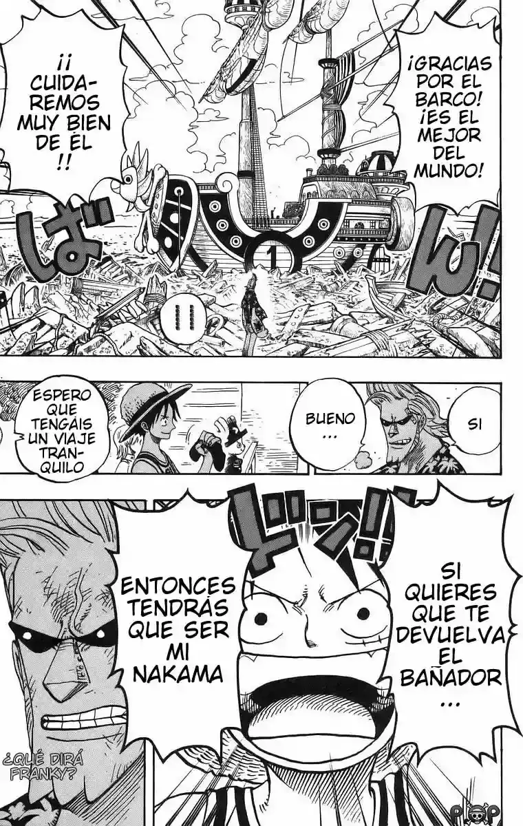 One Piece Capitulo 436 página 18