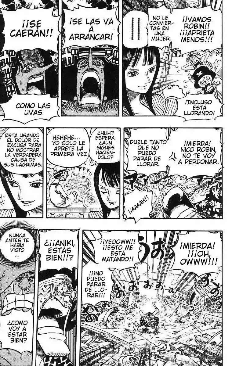 One Piece Capitulo 437 página 13