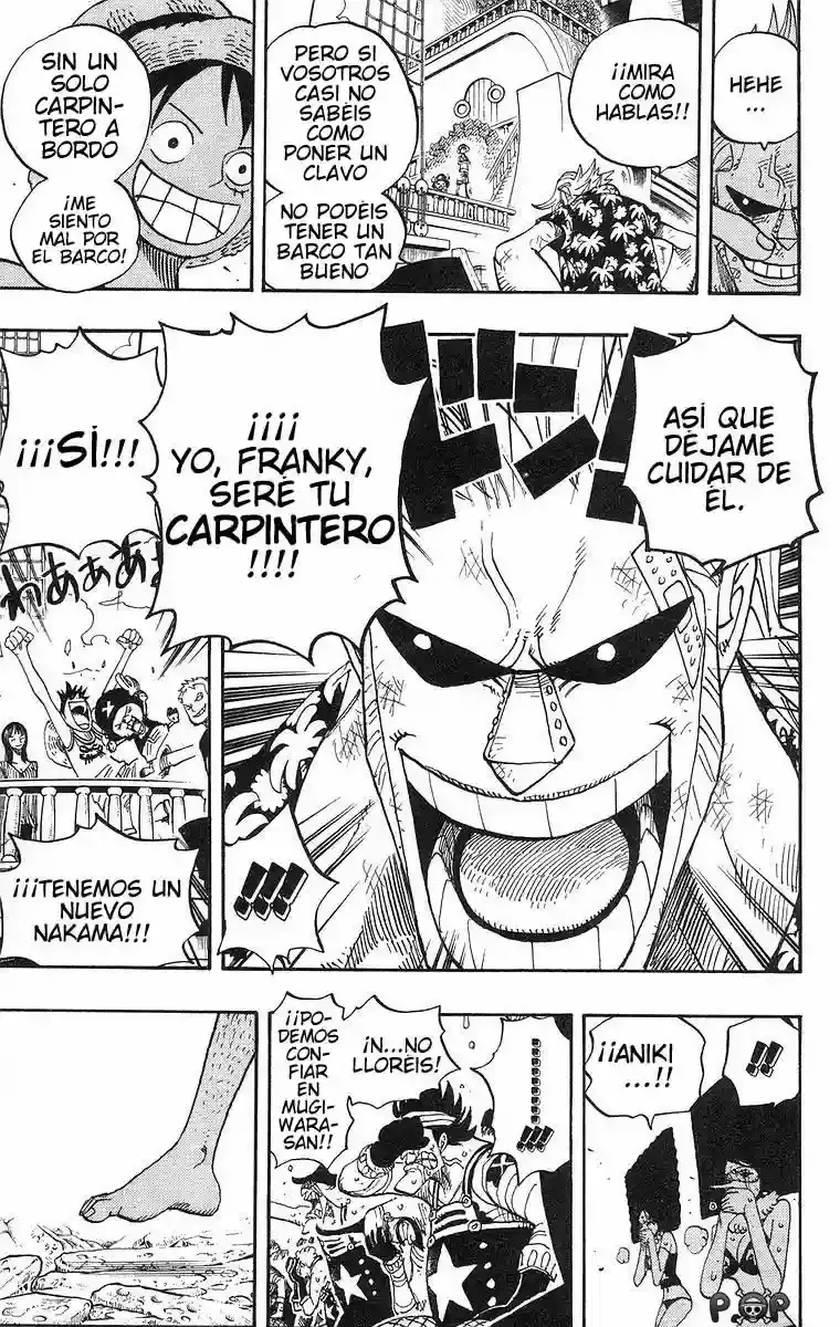 One Piece Capitulo 437 página 17