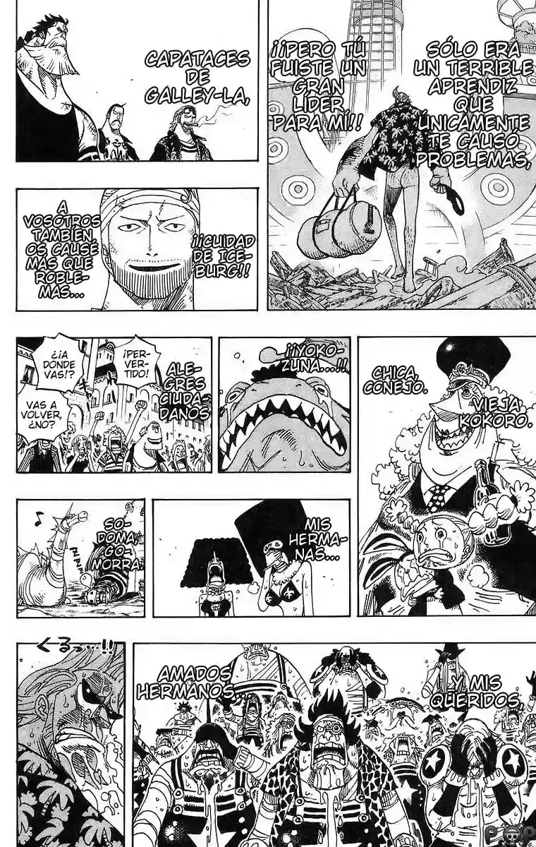 One Piece Capitulo 437 página 18