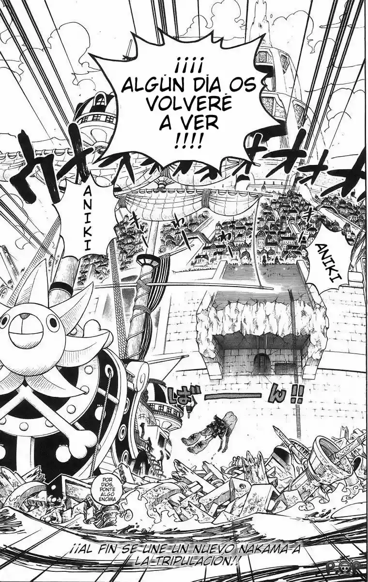 One Piece Capitulo 437 página 19