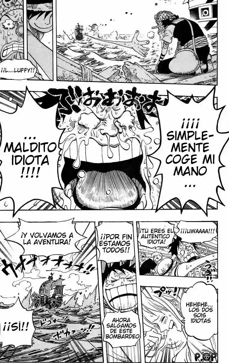 One Piece Capitulo 438 página 18