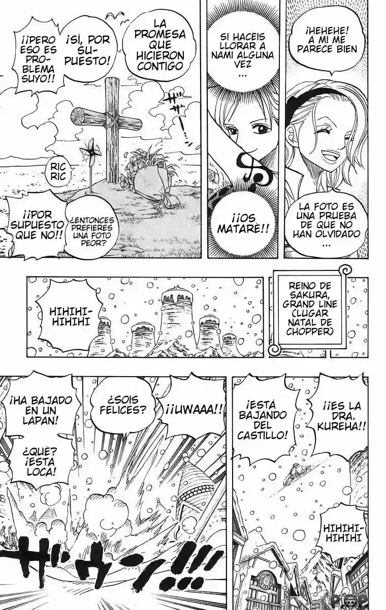 One Piece Capitulo 440 página 7