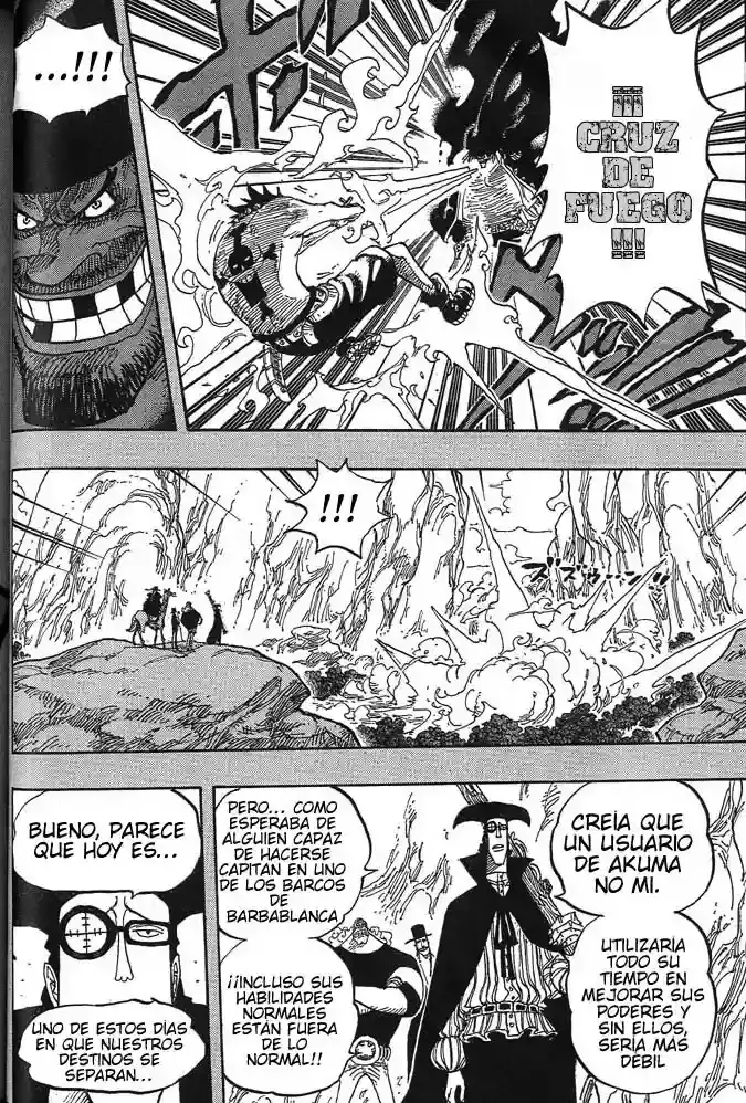 One Piece Capitulo 441 página 14