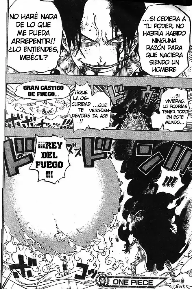 One Piece Capitulo 441 página 16
