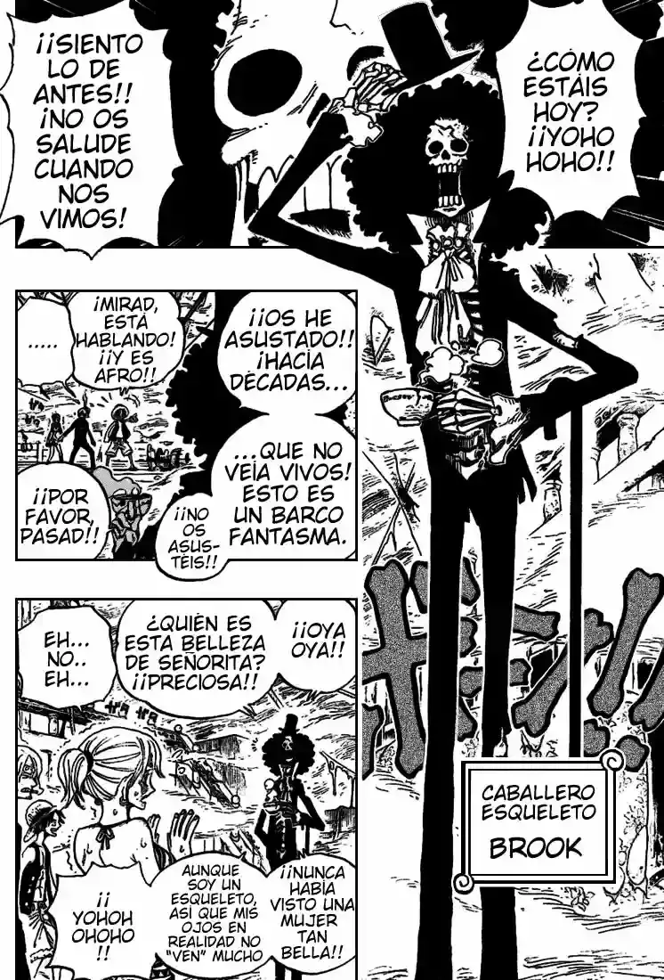 One Piece Capitulo 442 página 16