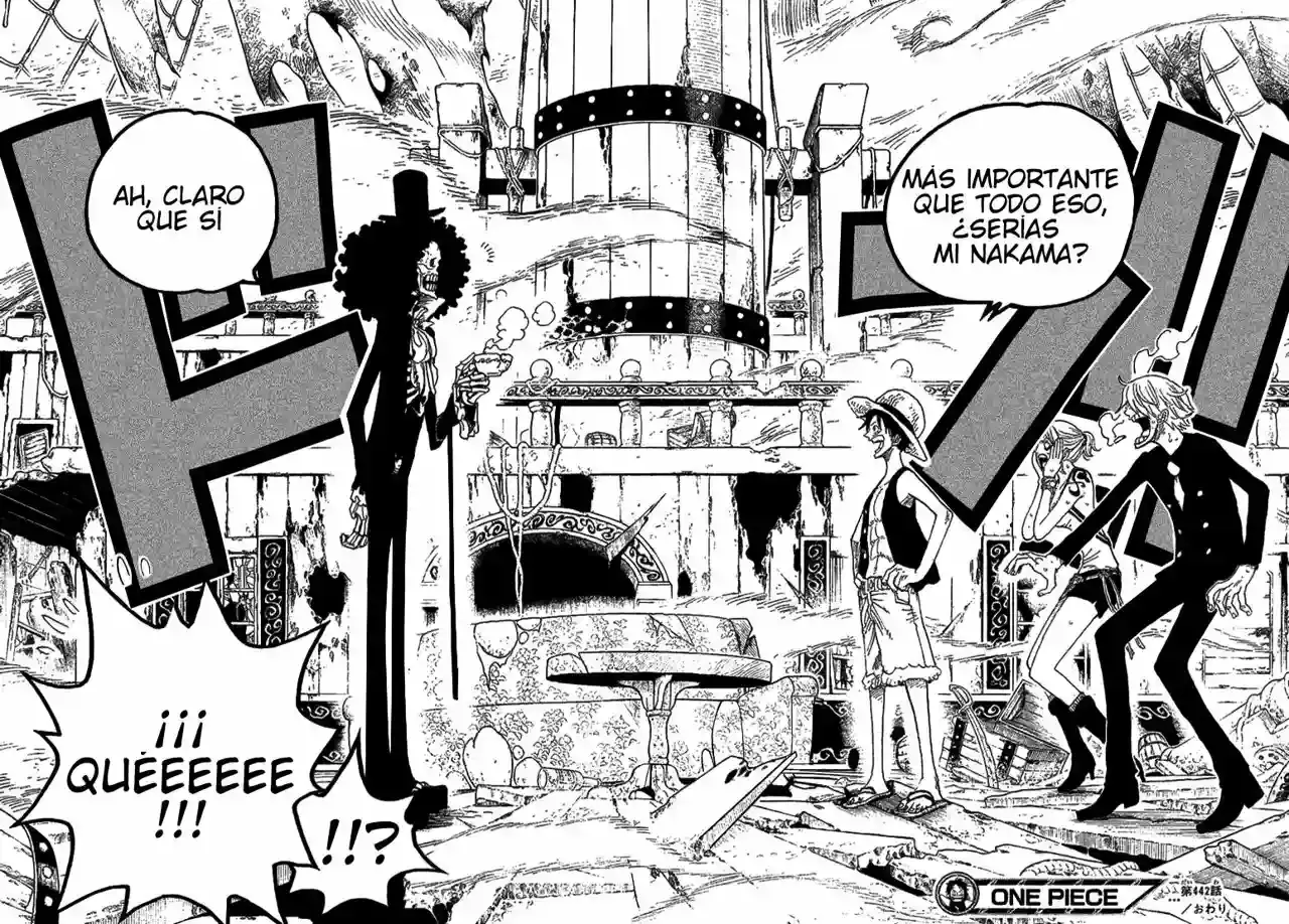 One Piece Capitulo 442 página 18