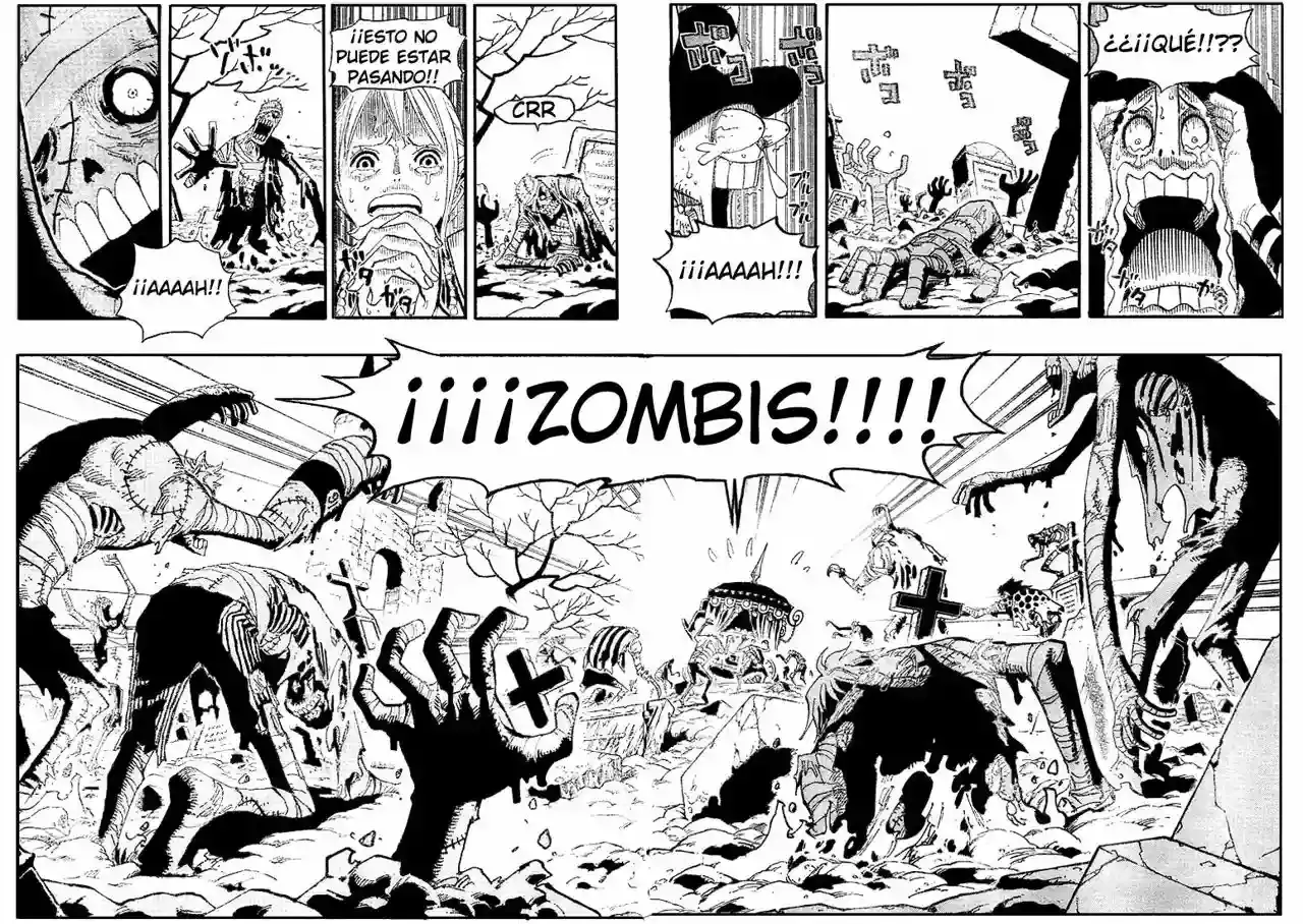 One Piece Capitulo 445 página 13