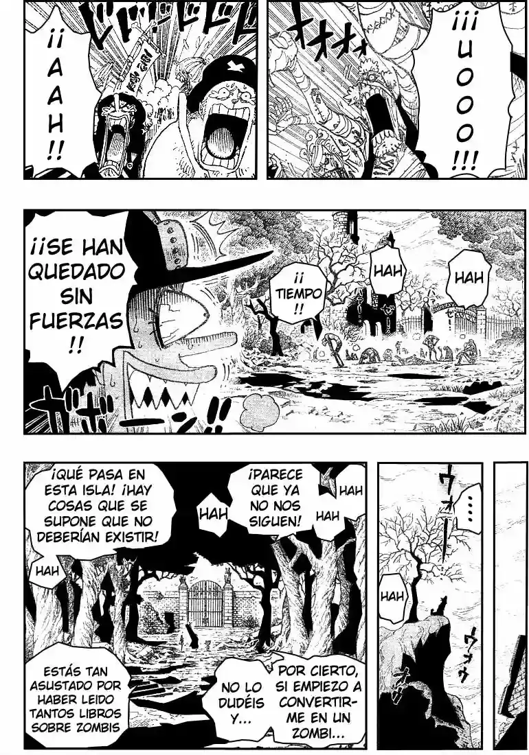 One Piece Capitulo 445 página 18