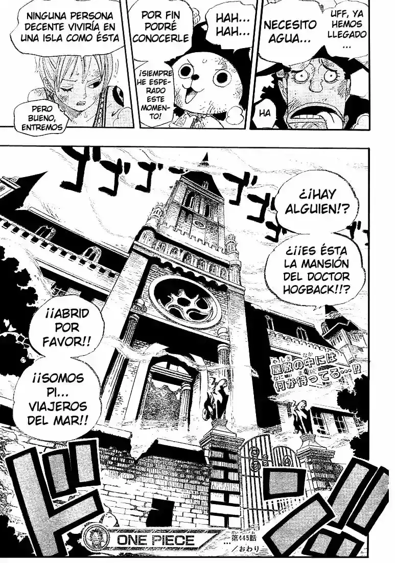 One Piece Capitulo 445 página 19
